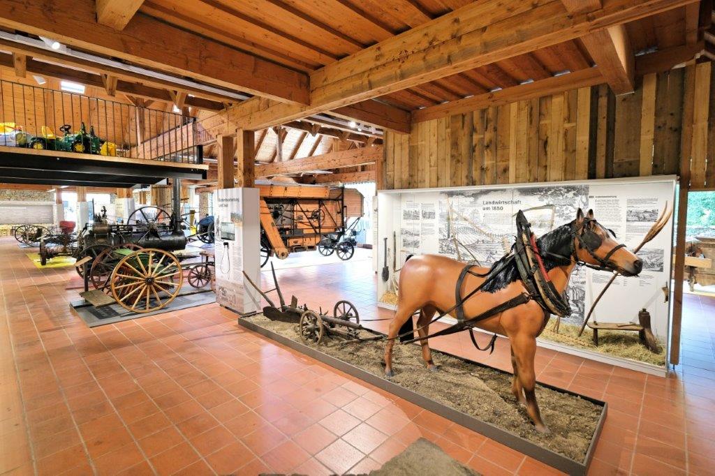 Führung Museum Horn 